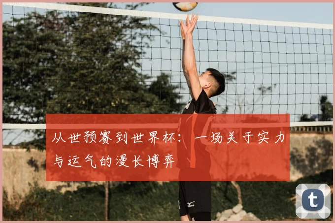 从世预赛到世界杯:一场关于实力与运气的漫长博弈
