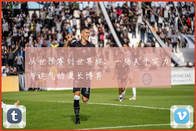 从世预赛到世界杯:一场关于实力与运气的漫长博弈