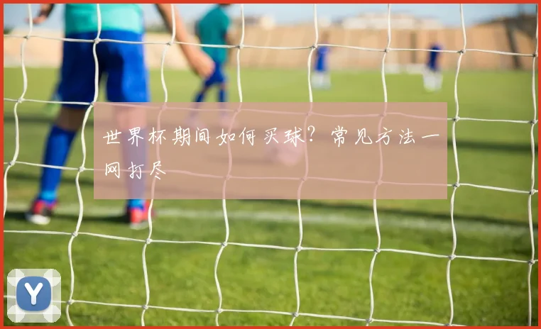 世界杯期间如何买球?常见方法一网打尽
